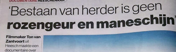 Brabants-Dagblad-Schapenheld_ton-van-zantvoort-IDFA