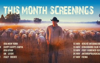 November-screenings